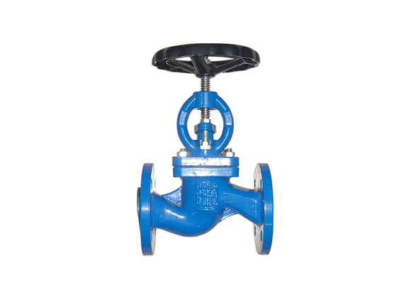 12 Globe Valve