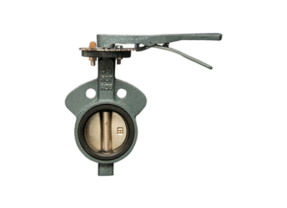 Hydraulic Butterfly Valve