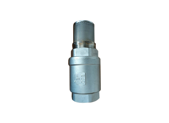 Chemical Foot Valve