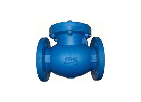 Flanged Swing Check Valve