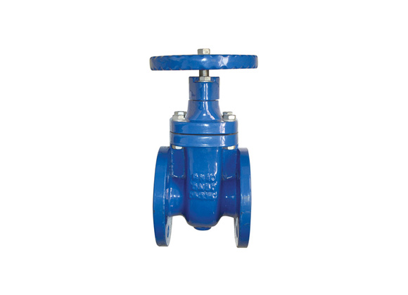 Cast Iron Gate Valve