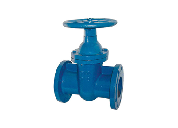 1 12 Gate Valve