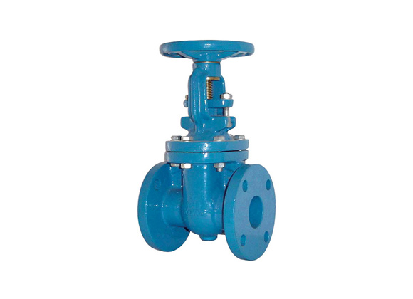 Stainless Steel Valve